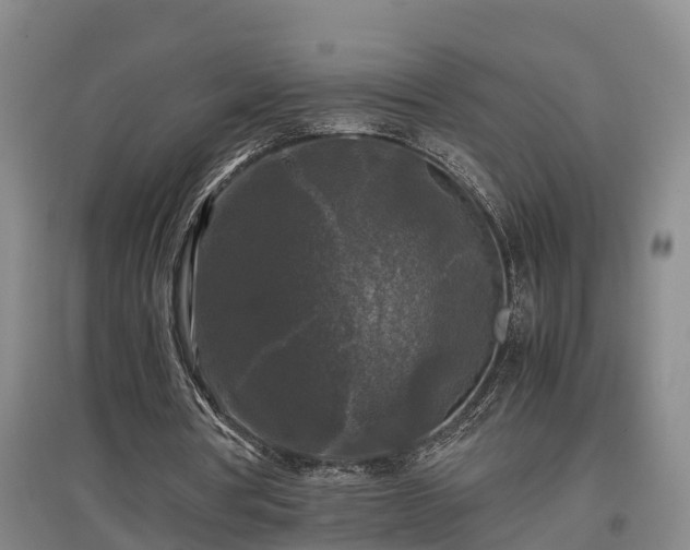 X0000097460386200802291241