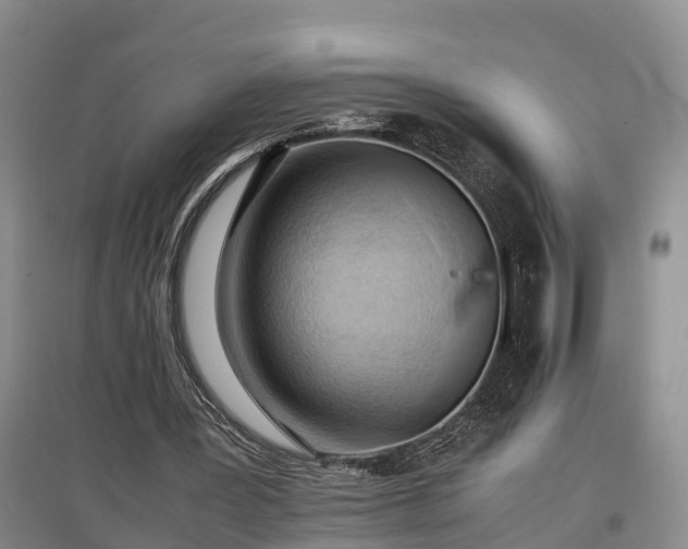 X0000097460387200802291241