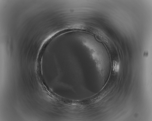 X0000097460388200802291241