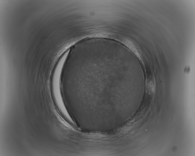 X0000097460389200802291241