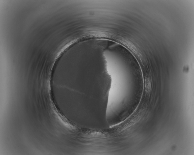 X0000097460390200802291241