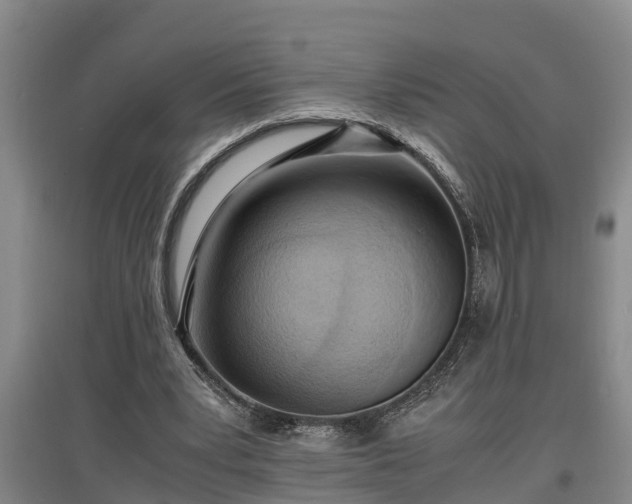 X0000097460391200802291241