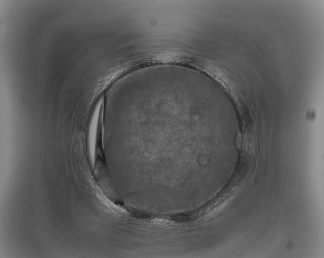 X0000097460393200802291241