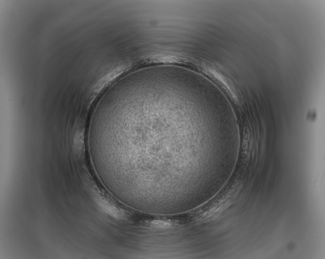 X0000097460394200802291241