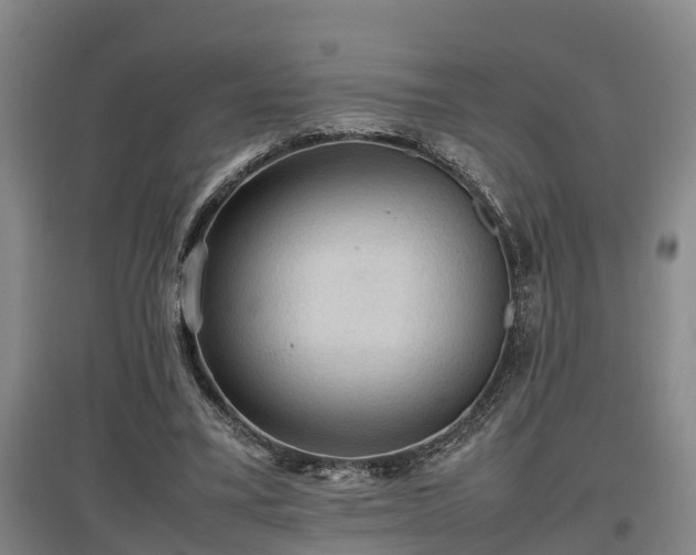 X0000097460395200802291241