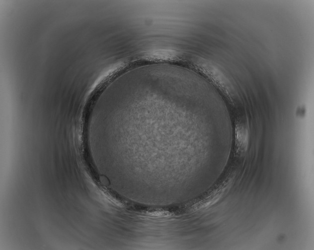 X0000097460396200802291241