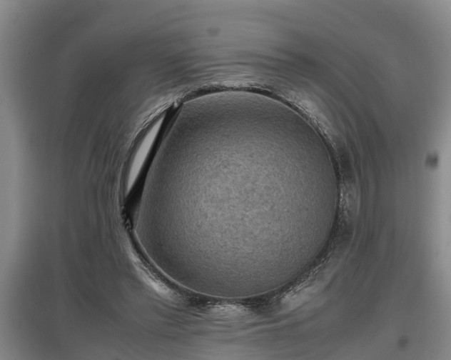 X0000097460397200802291241