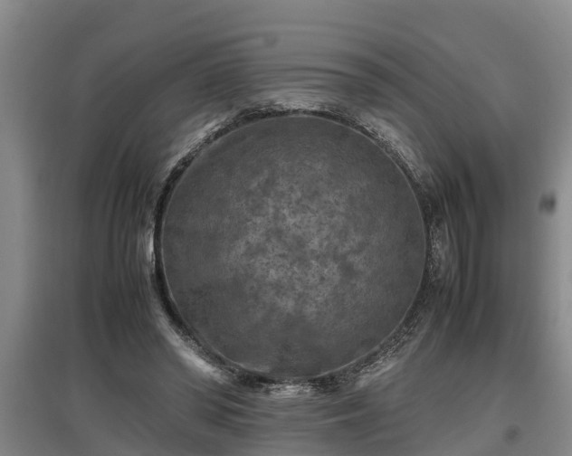 X0000097460398200802291241