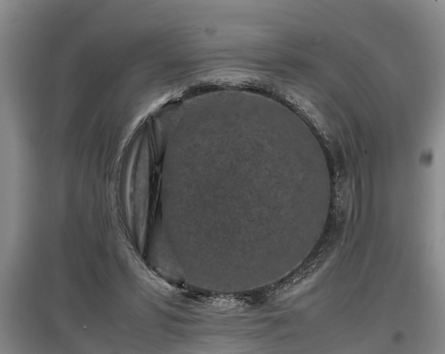 X0000097460399200802291241