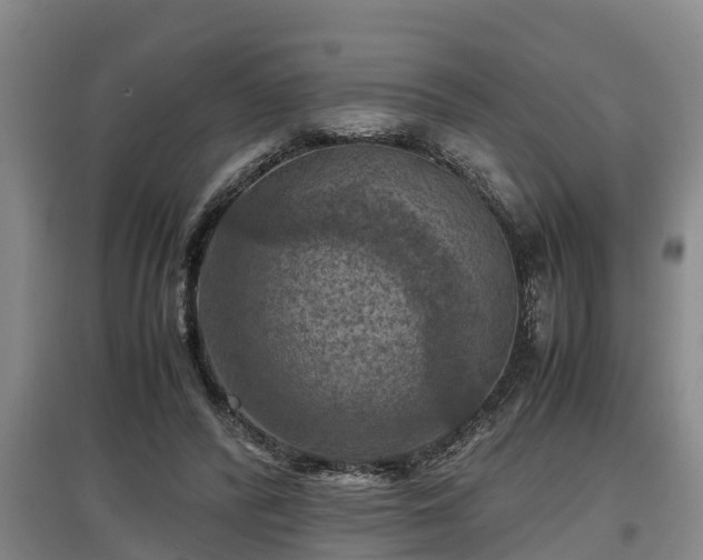 X0000097460400200802291241