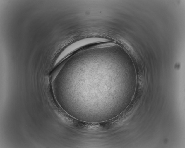 X0000097460401200802291241