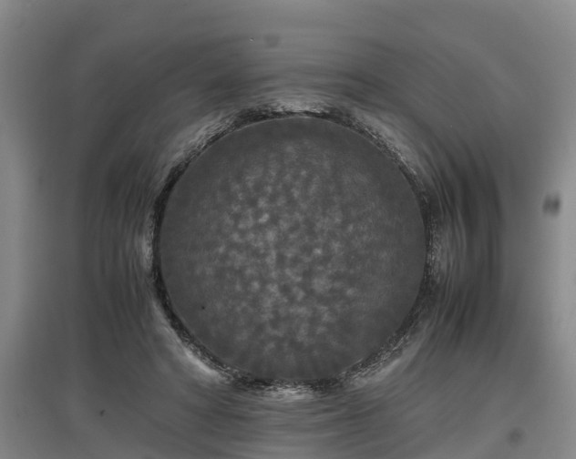 X0000097460402200802291241