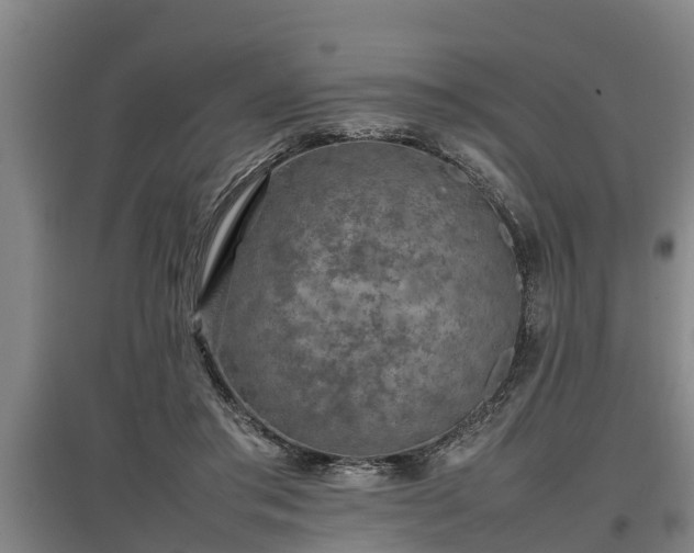 X0000097460405200802291241