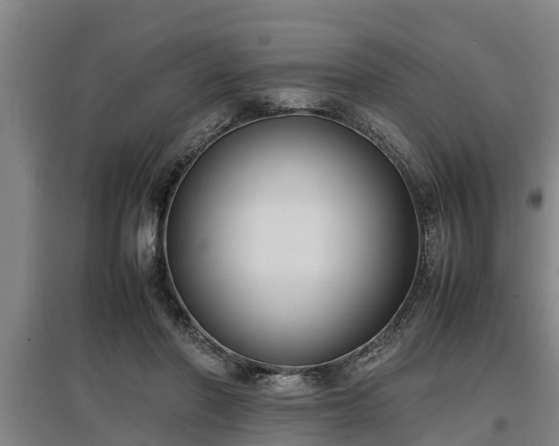 X0000097460406200802291241