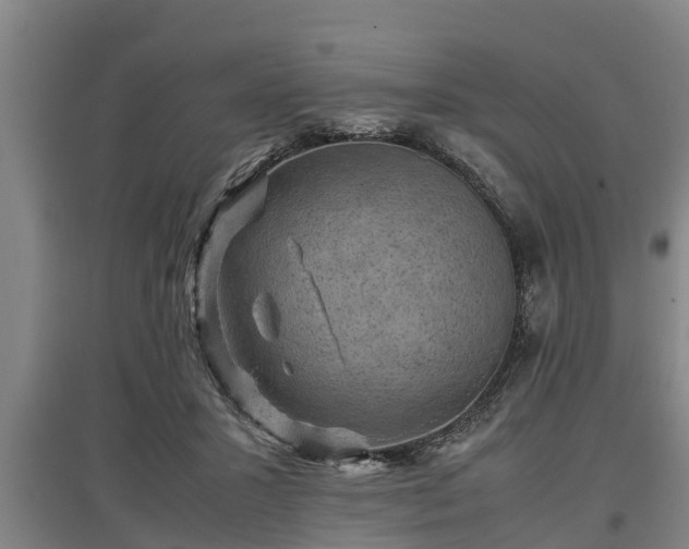 X0000097460407200802291241