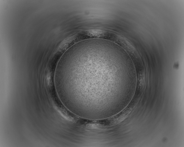 X0000097460408200802291241