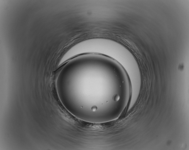 X0000097460409200802291241