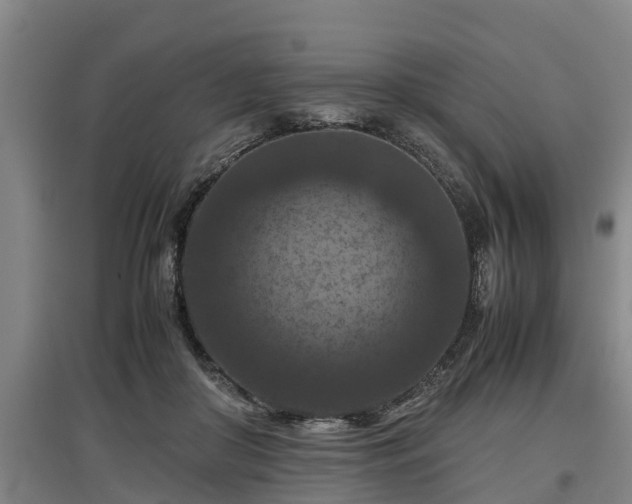 X0000097460410200802291241