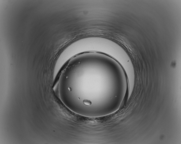 X0000097460411200802291241