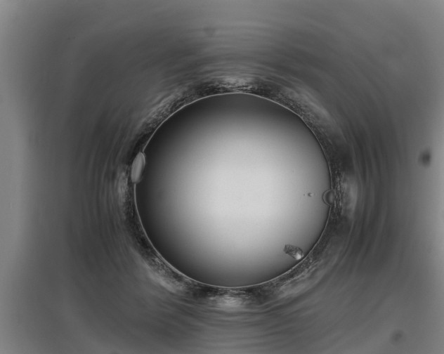 X0000097460412200802291241