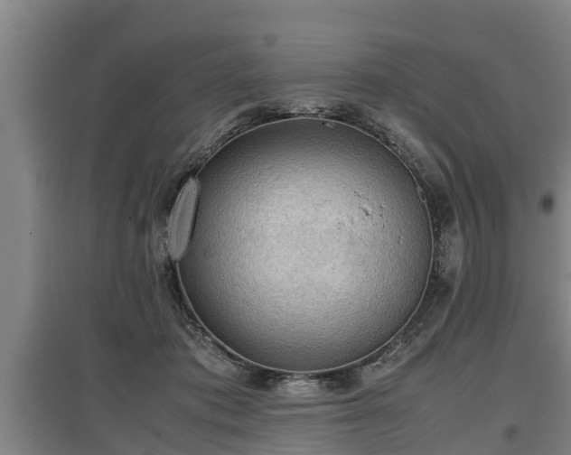 X0000097460413200802291241