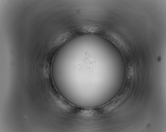 X0000097460414200802291241