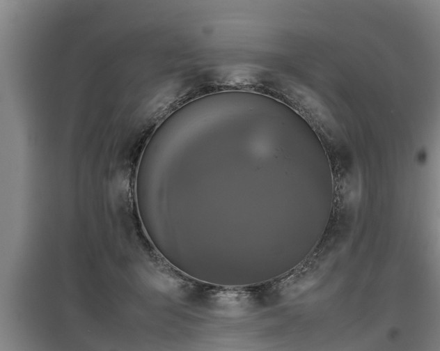 X0000097460415200802291241