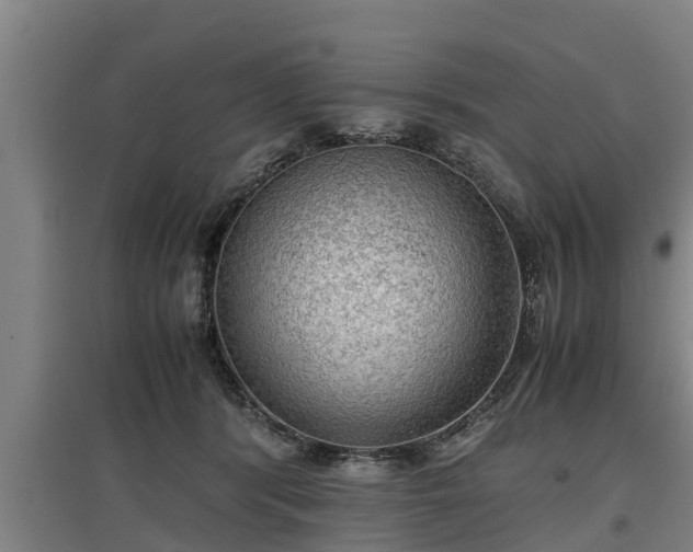 X0000097460416200802291241