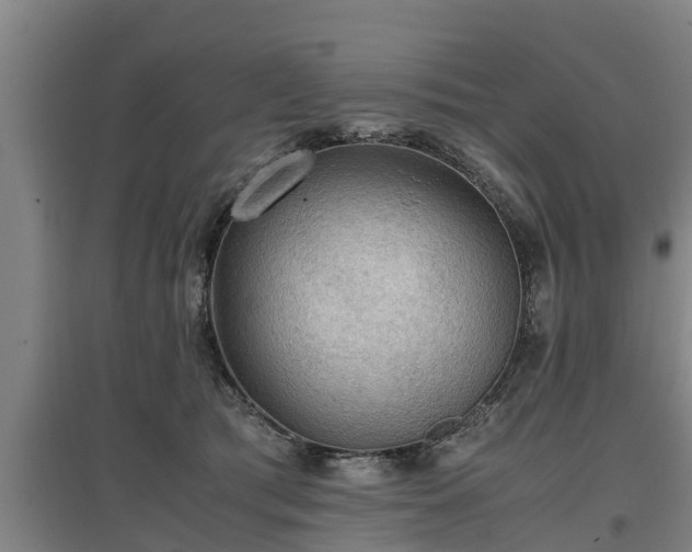 X0000097460417200802291241