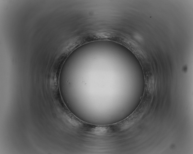 X0000097460418200802291241