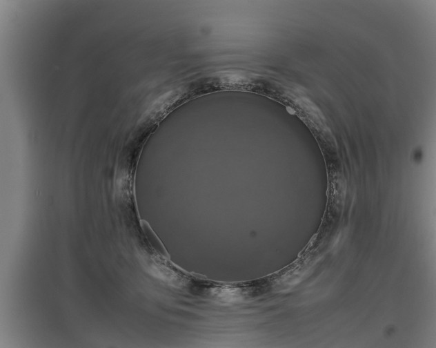 X0000097460419200802291241