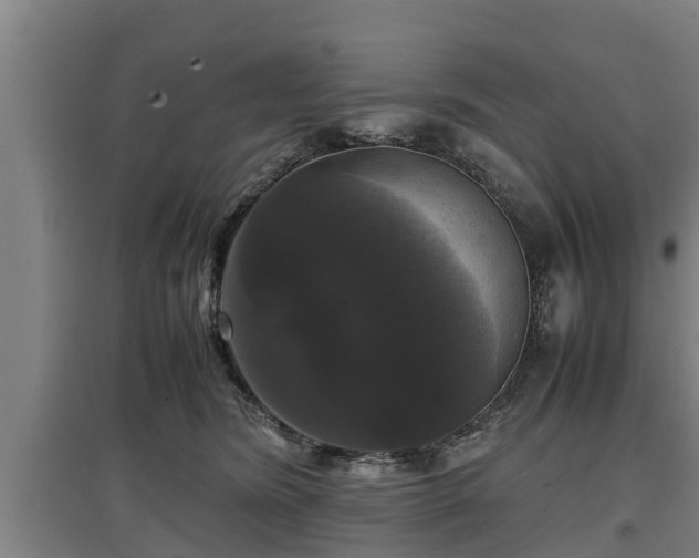 X0000097460420200802291241