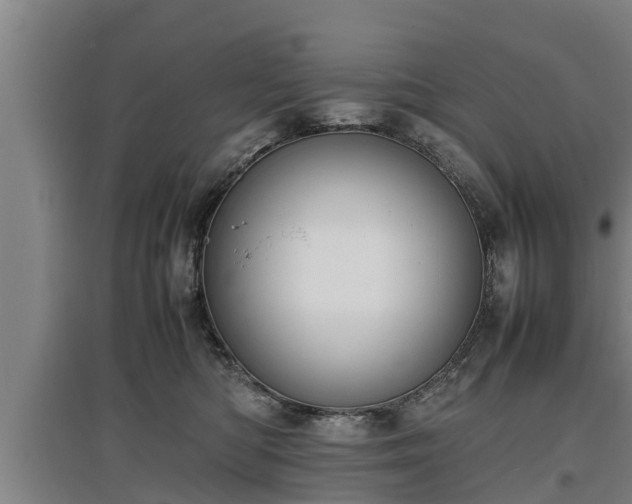 X0000097460422200802291240