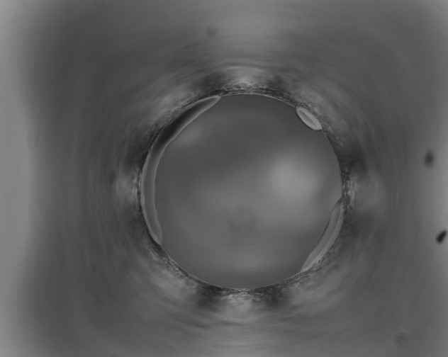 X0000097460423200802291240