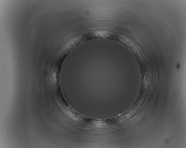 X0000097460424200802291240