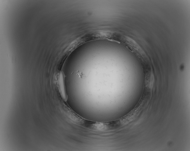 X0000097460425200802291240