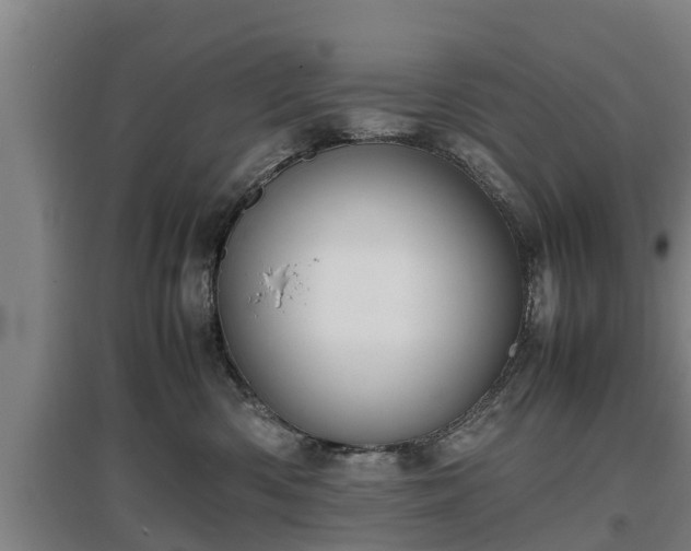 X0000097460426200802291240