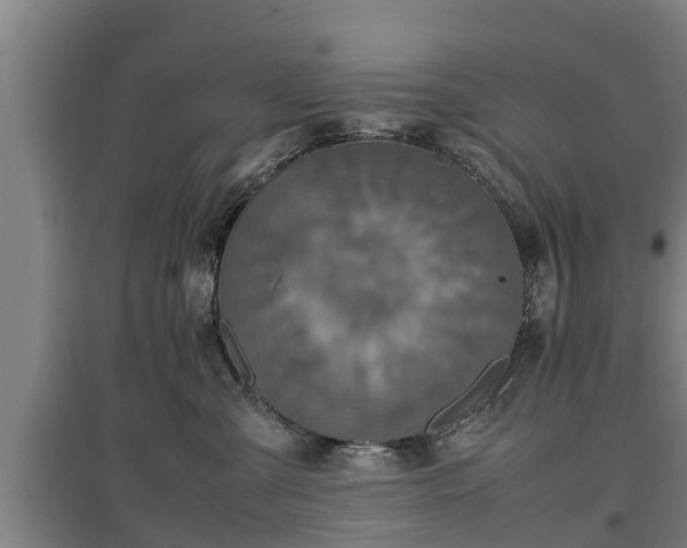 X0000097460427200802291240