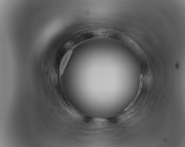 X0000097460429200802291240