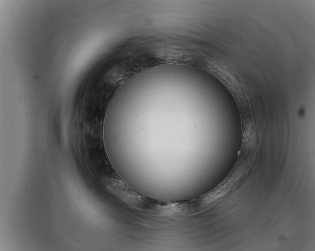 X0000097460430200802291240