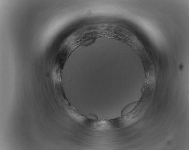 X0000097460431200802291240