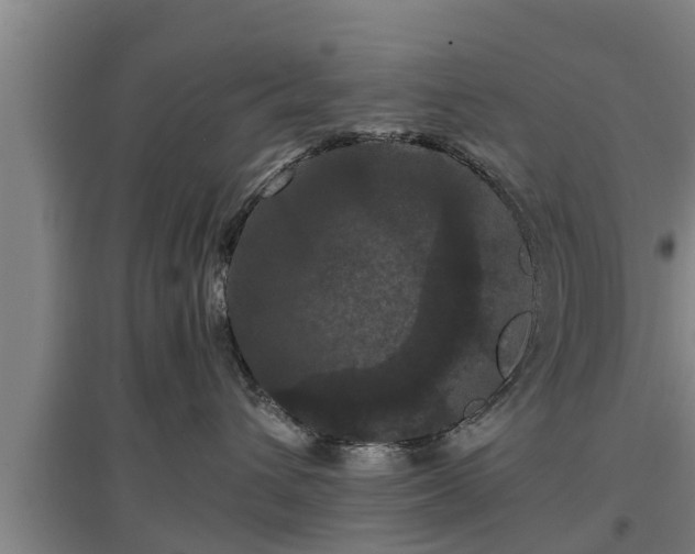 X0000097460432200802291240