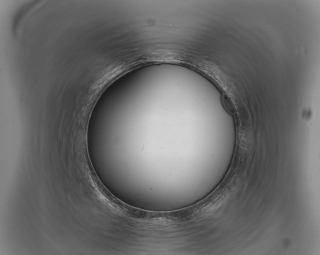 X0000097460433200802291240