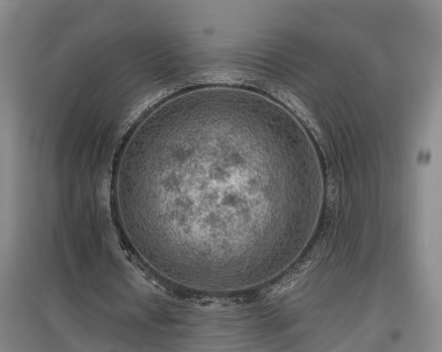 X0000097460434200802291240