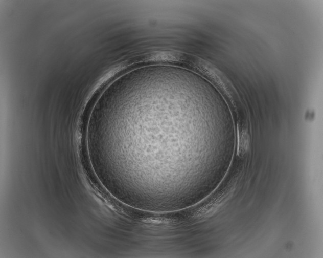 X0000097460435200802291240