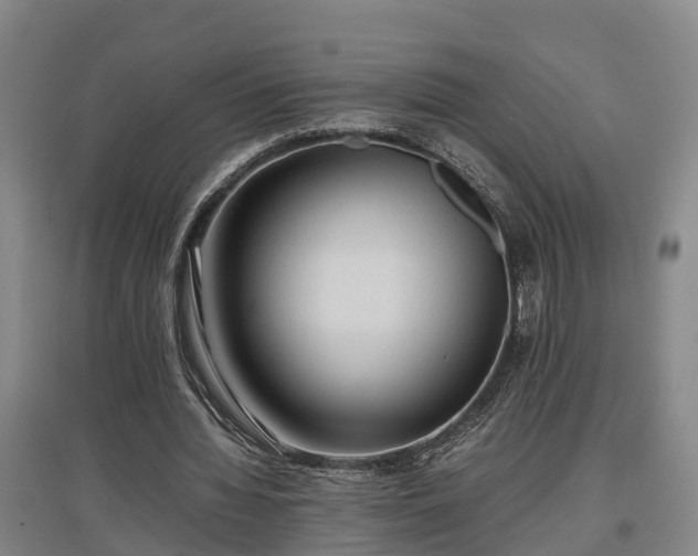 X0000097460436200802291240