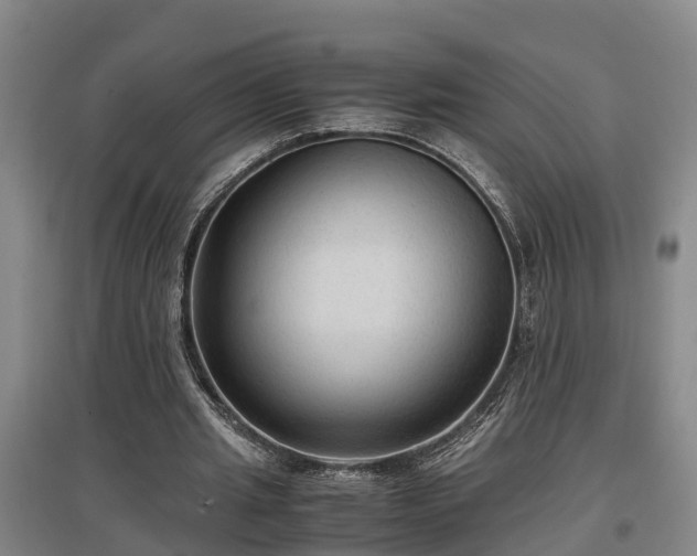 X0000097460437200802291240