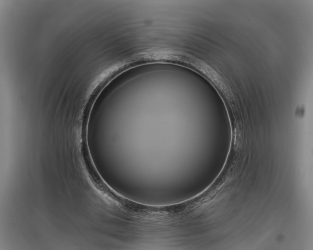 X0000097460438200802291240