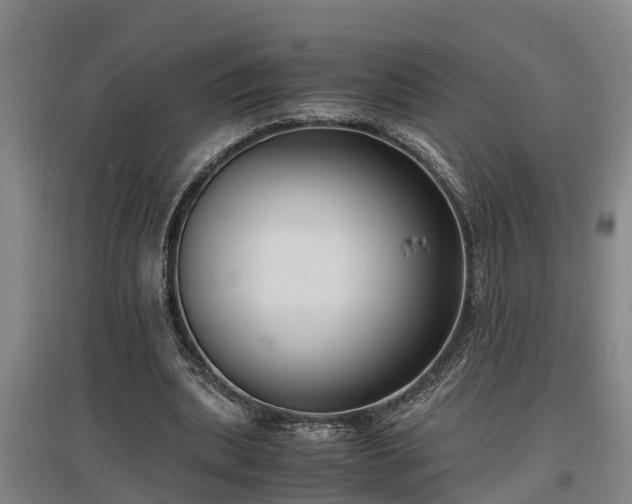 X0000097460439200802291240