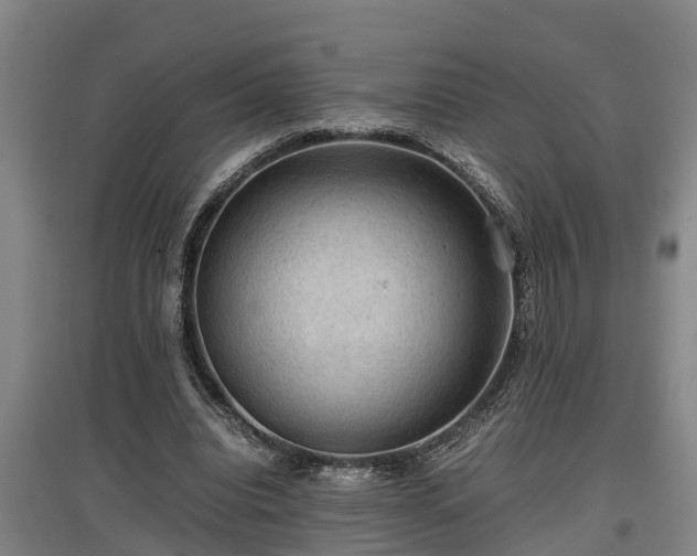 X0000097460440200802291240